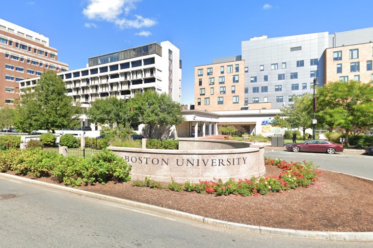 Boston University Combats Youth Loneliness Crisis with Innovative Mental Health Programs