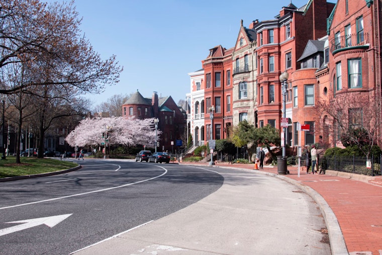 Brisk Winds and Cool Temperatures Greet Washington D.C. Residents, Warmer Days Ahead