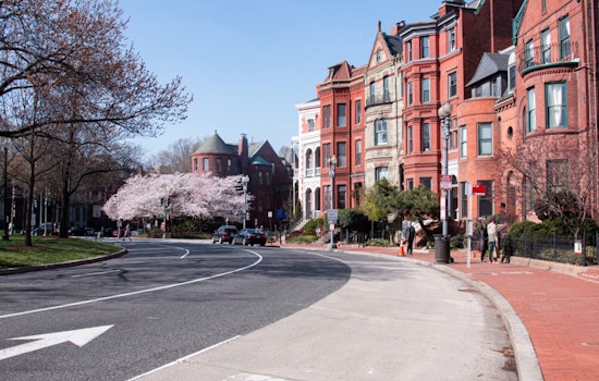 Brisk Winds and Cool Temperatures Greet Washington D.C. Residents, Warmer Days Ahead