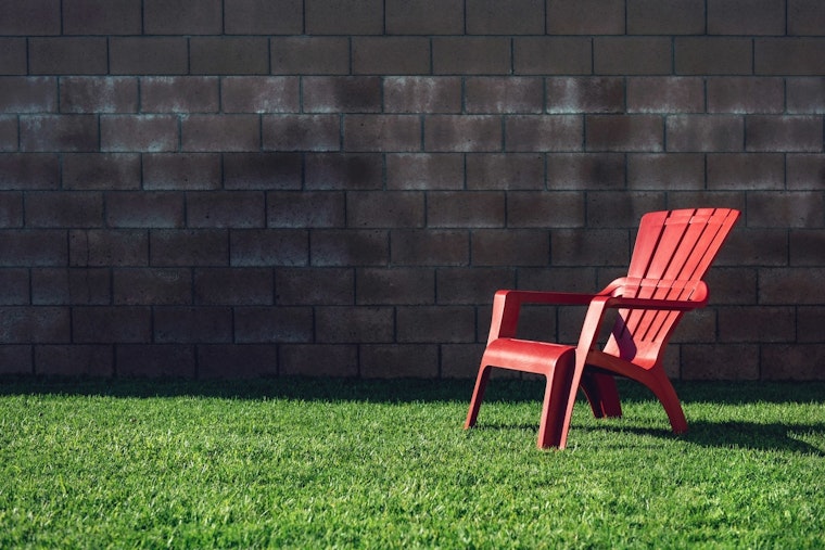 Brooklyn Park Embraces 'Slow Mow May' to Bolster Pollinators and Curb Water Usage