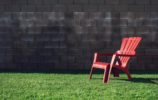 Brooklyn Park Embraces 'Slow Mow May' to Bolster Pollinators and Curb Water Usage
