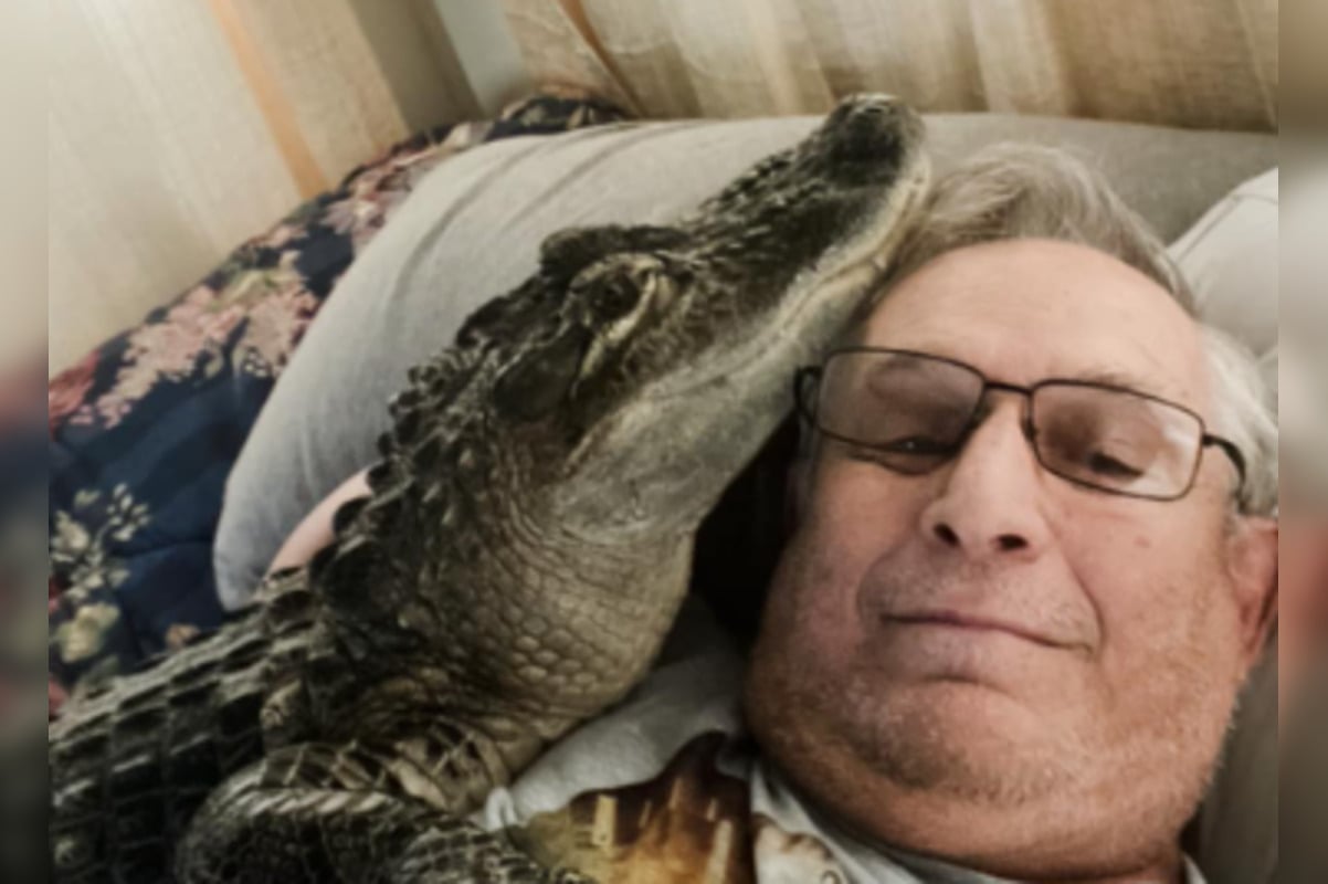 Brunswick's Beloved Emotional Support Alligator Wally Goes Missing;