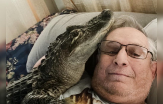 Brunswick's Beloved Emotional Support Alligator Wally Goes Missing, Owner Suspects Foul Play