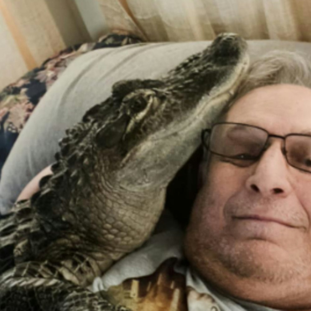 Brunswick's Beloved Emotional Support Alligator Wally Goes Missing, Owner Suspects Foul Play