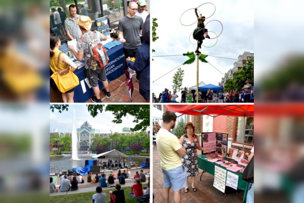 Cambridge Arts River Festival Invites Nonprofits to Apply for Free Table Space by May 17