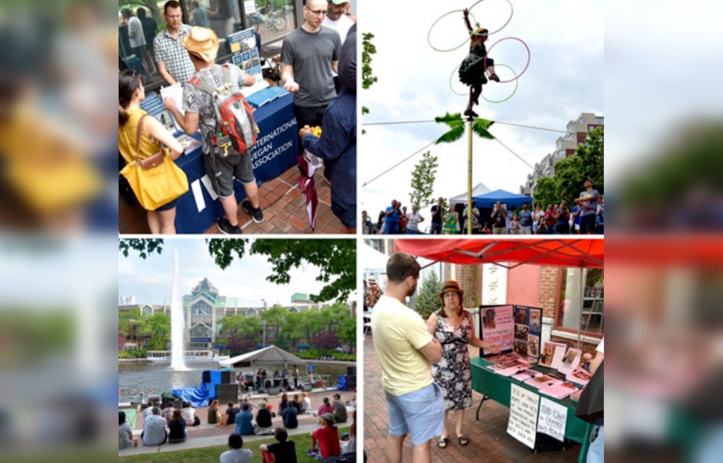 Cambridge Arts River Festival Invites Nonprofits to Apply for Free Table Space by May 17
