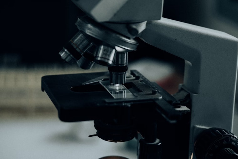 Cellular Cartographers: Immunai's MIT-Rooted Map Aims to Revolutionize Drug Development