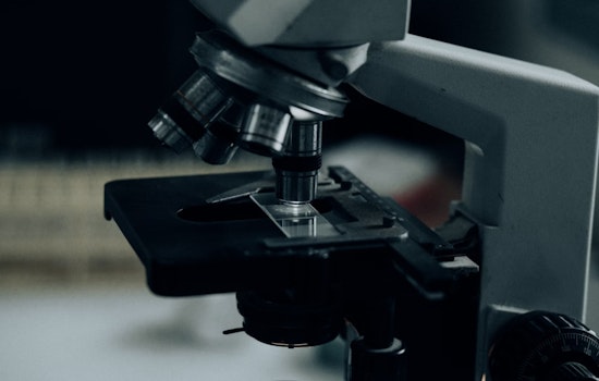 Cellular Cartographers: Immunai's MIT-Rooted Map Aims to Revolutionize Drug Development