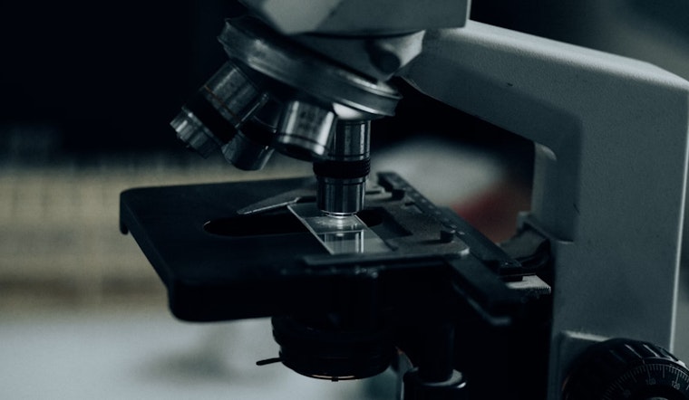 Cellular Cartographers: Immunai's MIT-Rooted Map Aims to Revolutionize Drug Development