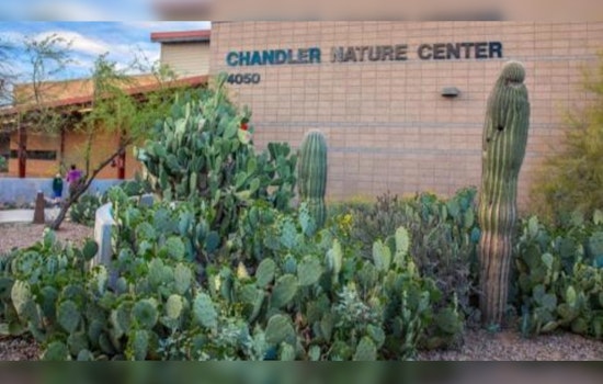 Chandler Mayor Hosts Community Listening Session on Teen Violence and Behavioral Health Issues