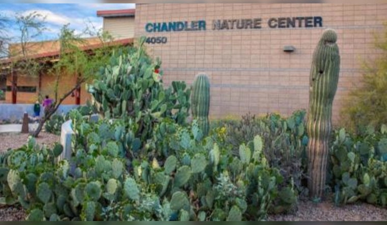 Chandler Mayor Hosts Community Listening Session on Teen Violence and Behavioral Health Issues