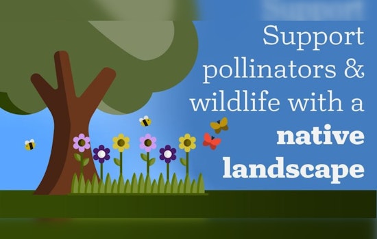 Chanhassen, Minnesota Embraces Native Landscaping, Encourages Biodiversity with Online Guidance