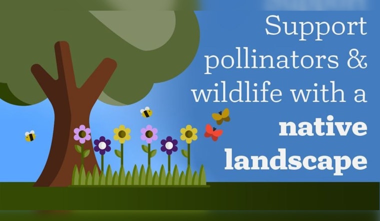 Chanhassen, Minnesota Embraces Native Landscaping, Encourages Biodiversity with Online Guidance