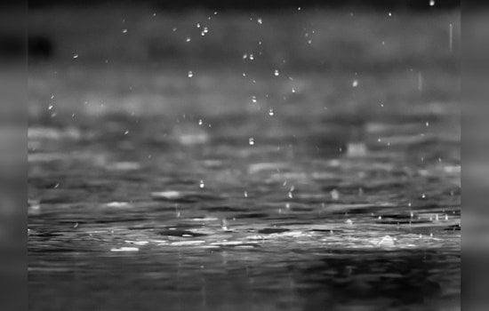Chicago Braces for Weather Wallop: Rain, Thunderstorms, and Snow Predicted This Week