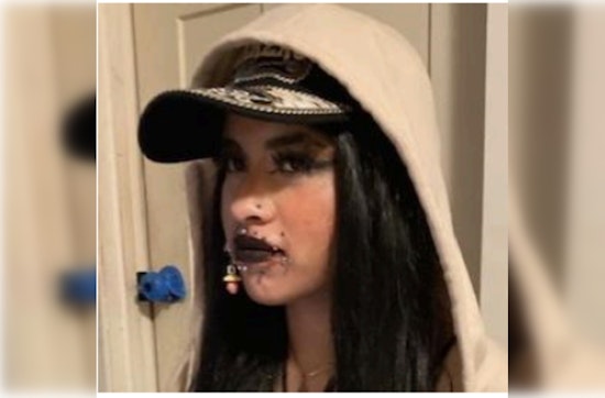 Chicago Police Issue Urgent Missing Person Alert for 15-Year-Old Danielle Ayala