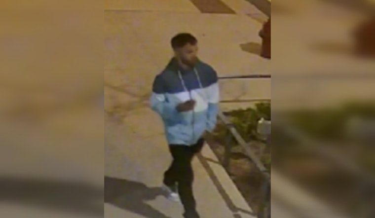 Chicago Police Seek Public's Help after Woman Escapes Assault in West Loop