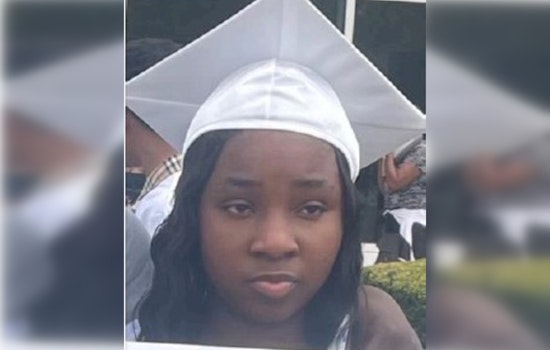 Chicago Police Seek Public's Help in Locating Missing Teenager Shemeka Sneed