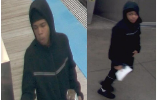 Chicago Police Seek Public's Help to Identify Suspect in CTA Green Line Train Robbery
