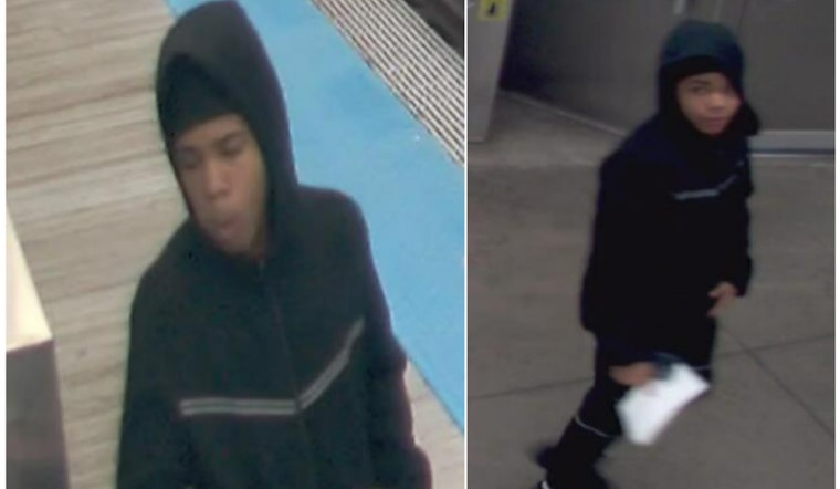 Chicago Police Seek Public's Help to Identify Suspect in CTA Green Line Train Robbery