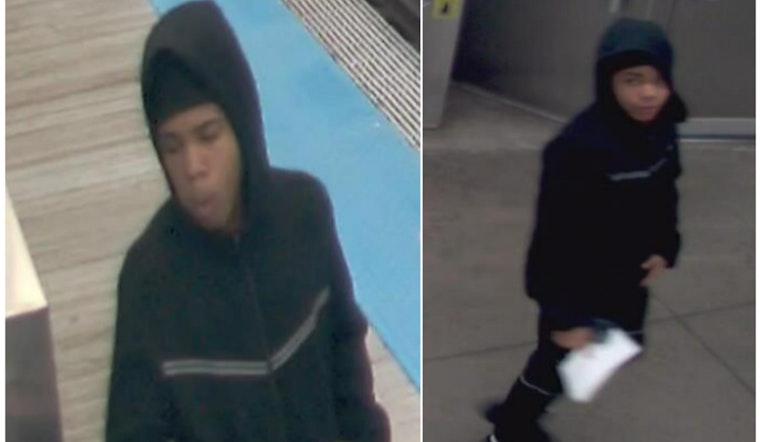 Chicago Police Seek Public's Help to Identify Suspect in CTA Green Line Train Robbery
