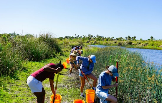City of St. Louis Park Seeks Eco-Volunteers for Lake Monitoring Program