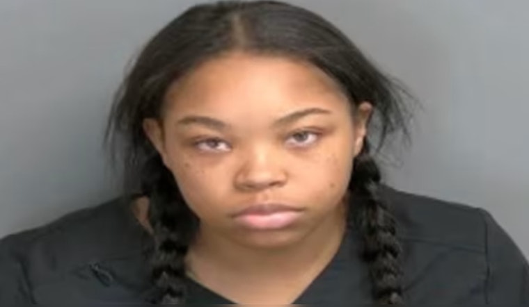 Clinton Township Mother Enters No Contest Plea in Involuntary Manslaughter Case Involving Son's Death