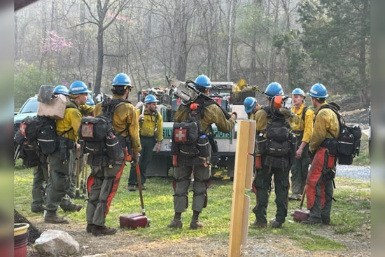 Cocke County Wildfire 20% Contained, Hartford Road Closures Imposed as Crews Battle Blaze