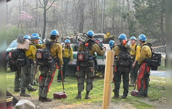 Cocke County Wildfire 20% Contained, Hartford Road Closures Imposed as Crews Battle Blaze