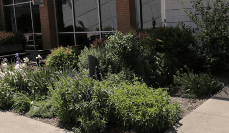 Collin County Master Gardeners Begin Rehoming Plants for Allen Courtyard Gardens Expansion