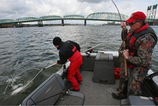 Columbia River Spring Chinook Fishing Season Extended Below Bonneville Dam