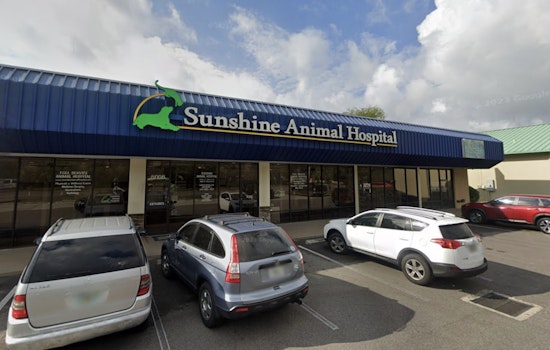 Community Rallies Behind Injured Dog in South Florida, Suspected Machete Attack Under Investigation