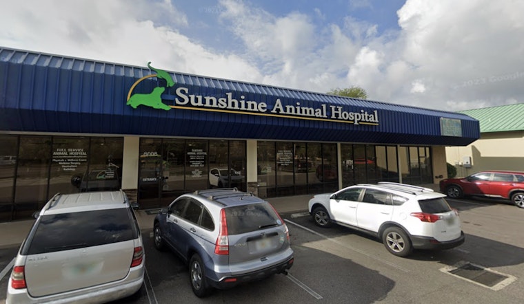 Community Rallies Behind Injured Dog in South Florida, Suspected Machete Attack Under Investigation