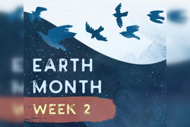 Coon Rapids Heeds the Call for Bird-Safe Skies During Earth Month, Invites Community to Park Clean-Up