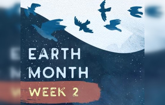 Coon Rapids Heeds the Call for Bird-Safe Skies During Earth Month, Invites Community to Park Clean-Up