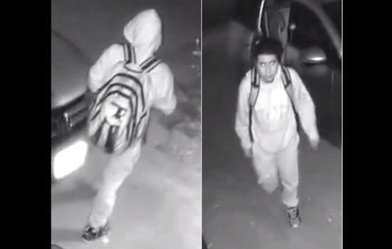 Cops Claw for Clues in Linda Vista Kid's Nightmarish Assault