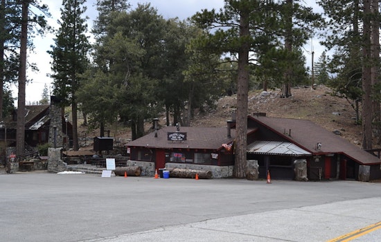 Crystal Lake Recreation Area Shutters for a Week to Battle Destructive Western Pine Beetle Infestation