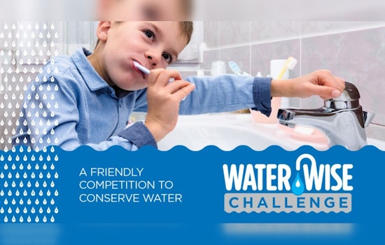 Dakota County Launches "Water Wise Challenge" to Spur Summer Conservation Efforts Among Residents