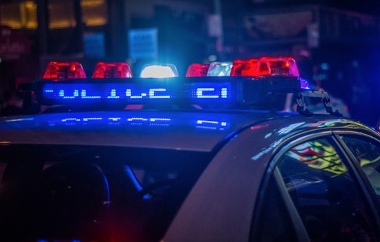 Davie Police Arrest Suspect in Alarming Animal Cruelty Case Involving Decapitated Calf