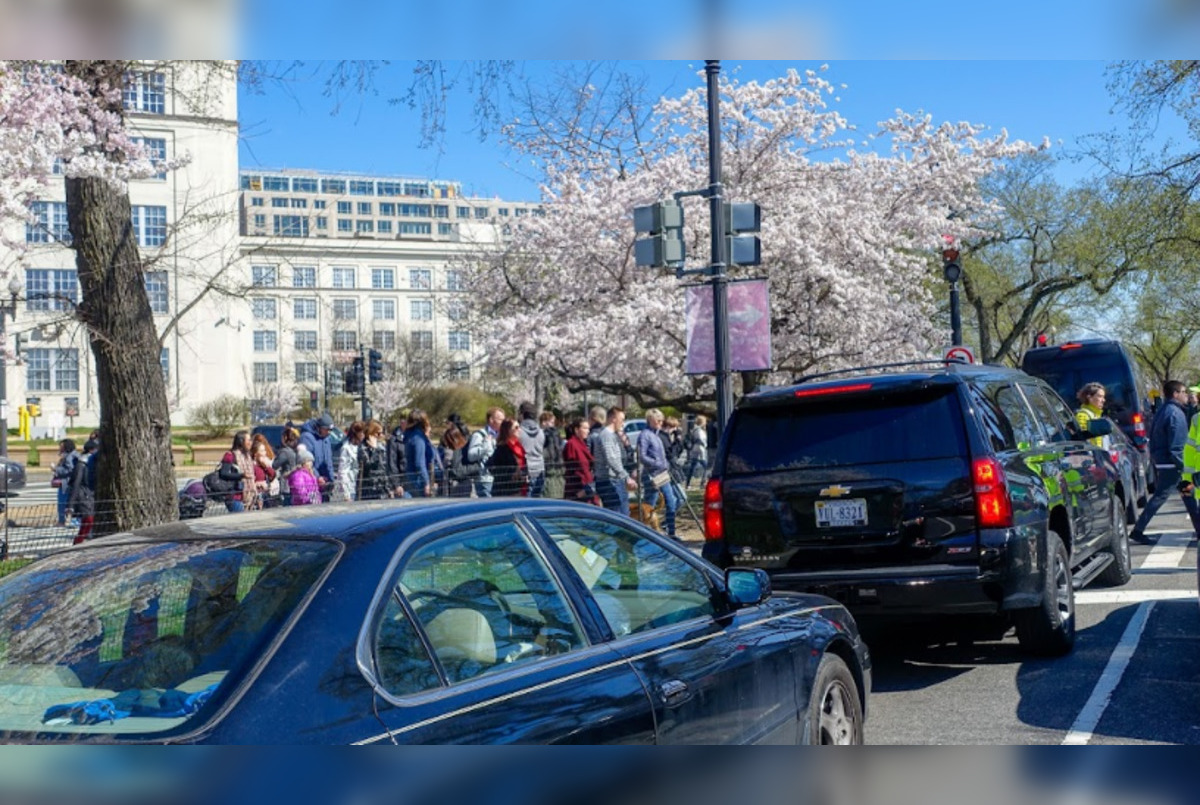 D.C. Gears Up for Cherry Blossom Parade with Major Road Closures and