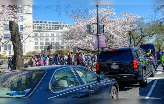 D.C. Gears Up for Cherry Blossom Parade with Major Road Closures and Parking Restrictions