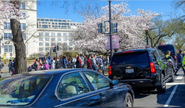 D.C. Gears Up for Cherry Blossom Parade with Major Road Closures and Parking Restrictions
