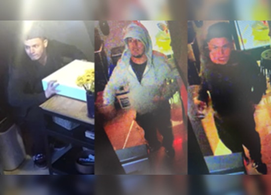 DC Police Seek Public's Help in Tracking Nighttime Burglar in Northwest Thefts