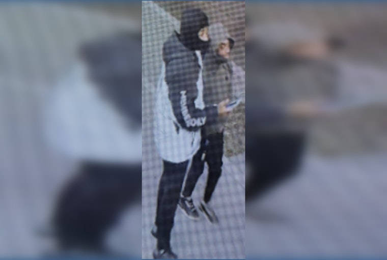 DC Police Seek Suspects After Armed Carjacking of Rideshare Vehicle in Northeast