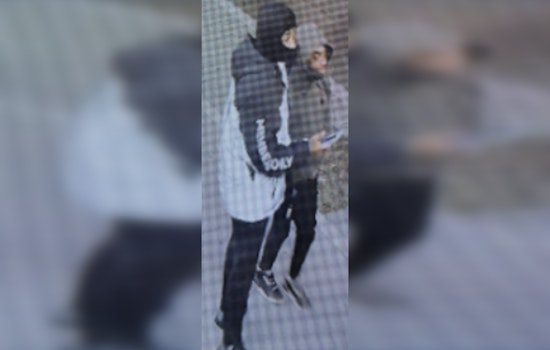 DC Police Seek Suspects After Armed Carjacking of Rideshare Vehicle in Northeast