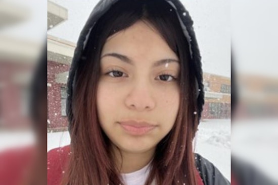 Detroit Police Ramps Up Search for Missing 14-Year-Old Emily Ortiz, Community Urged to Provide Leads
