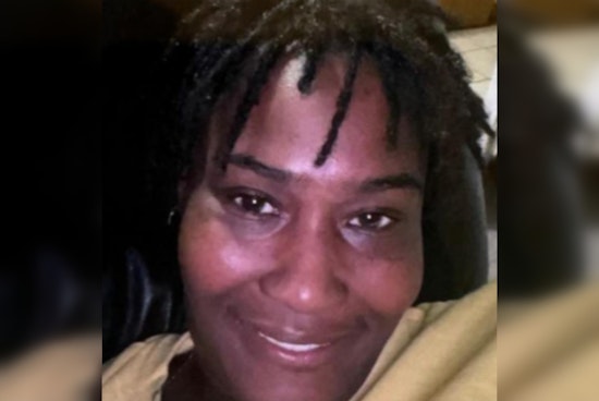 Detroit Police Seek Assistance in Locating Missing Woman Jeanine Ewing from City's West Side