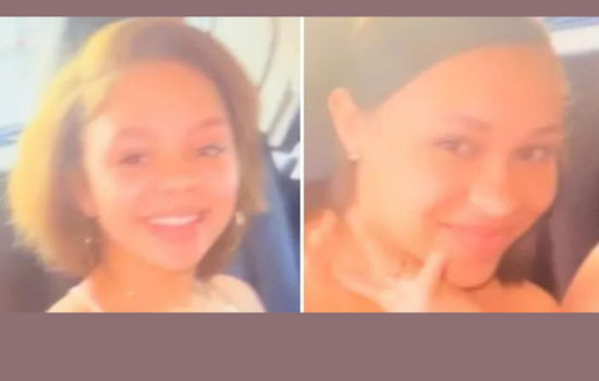 Detroit Twins Found in Allen Park Hotel, Man Charged with Fraud and Harboring Minors