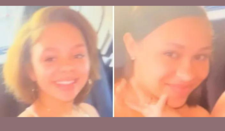 Detroit Twins Found in Allen Park Hotel, Man Charged with Fraud and Harboring Minors