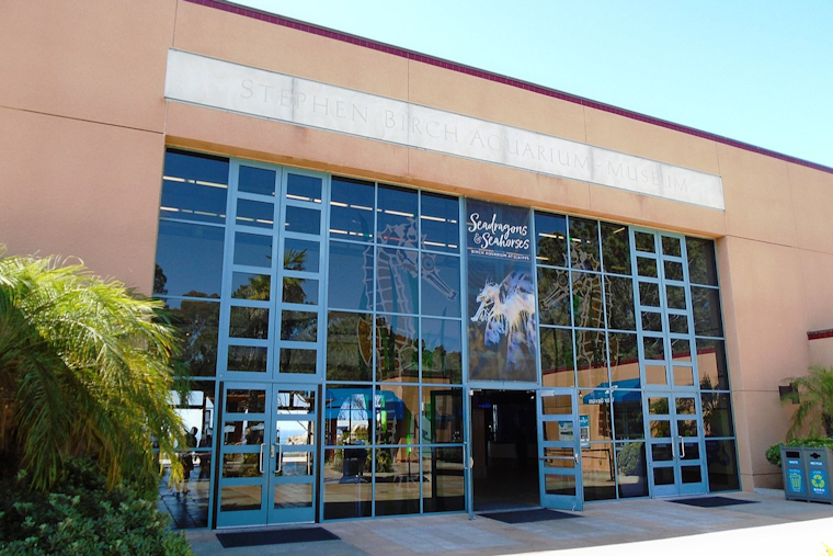 Dive into Earth Day Fun at Birch Aquarium's "Party for the Planet"