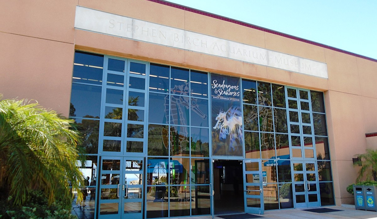 Dive into Earth Day Fun at Birch Aquarium's "Party for the Planet"